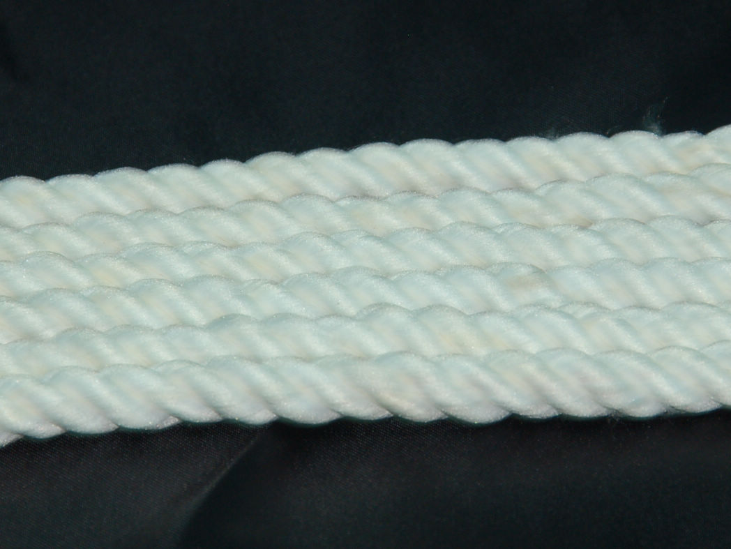 Twisted polyester rope